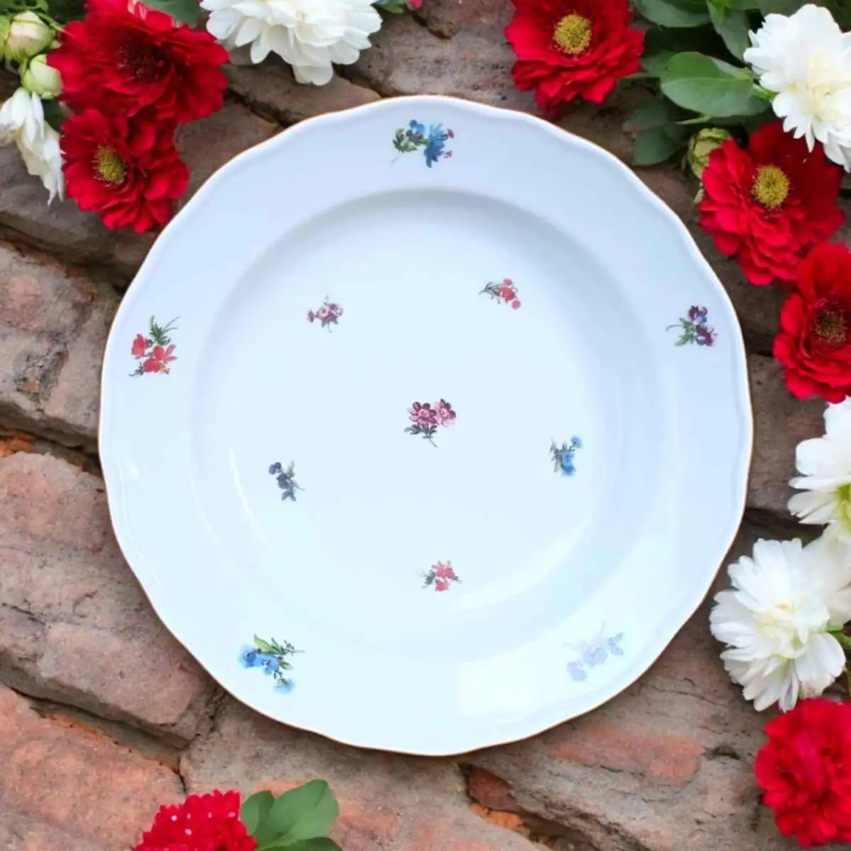 10002 Talíř hluboký praporový 24cm