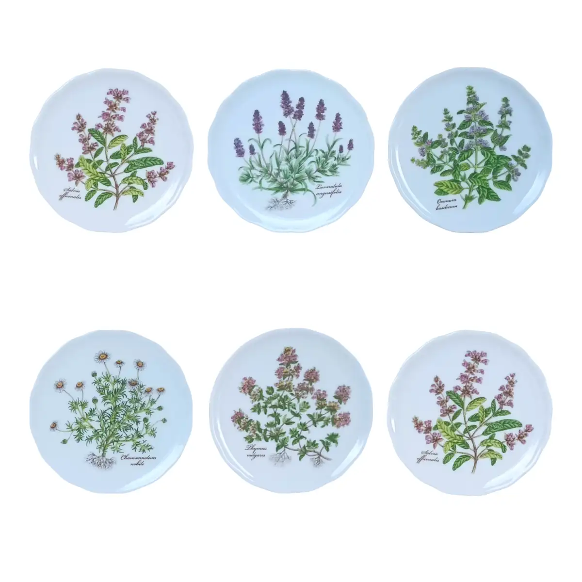 10118 Podložka pod sklenici - Bylinky (1)