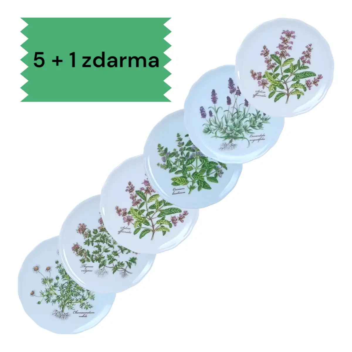 10118 Podložka pod sklenici - Bylinky 5+1