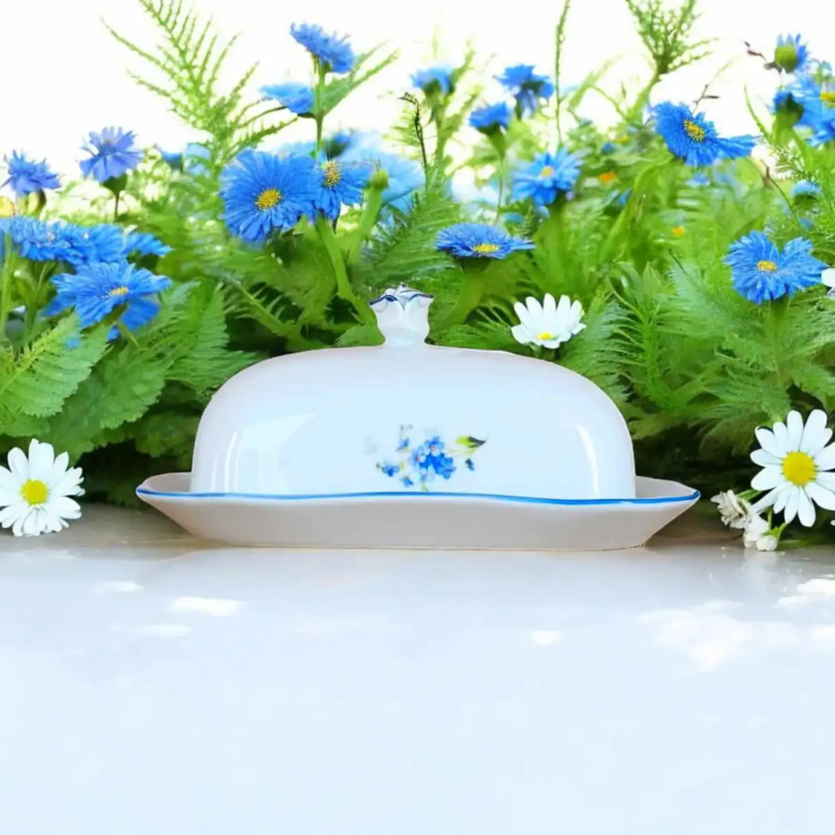 70233 Máslenka hranatá velká