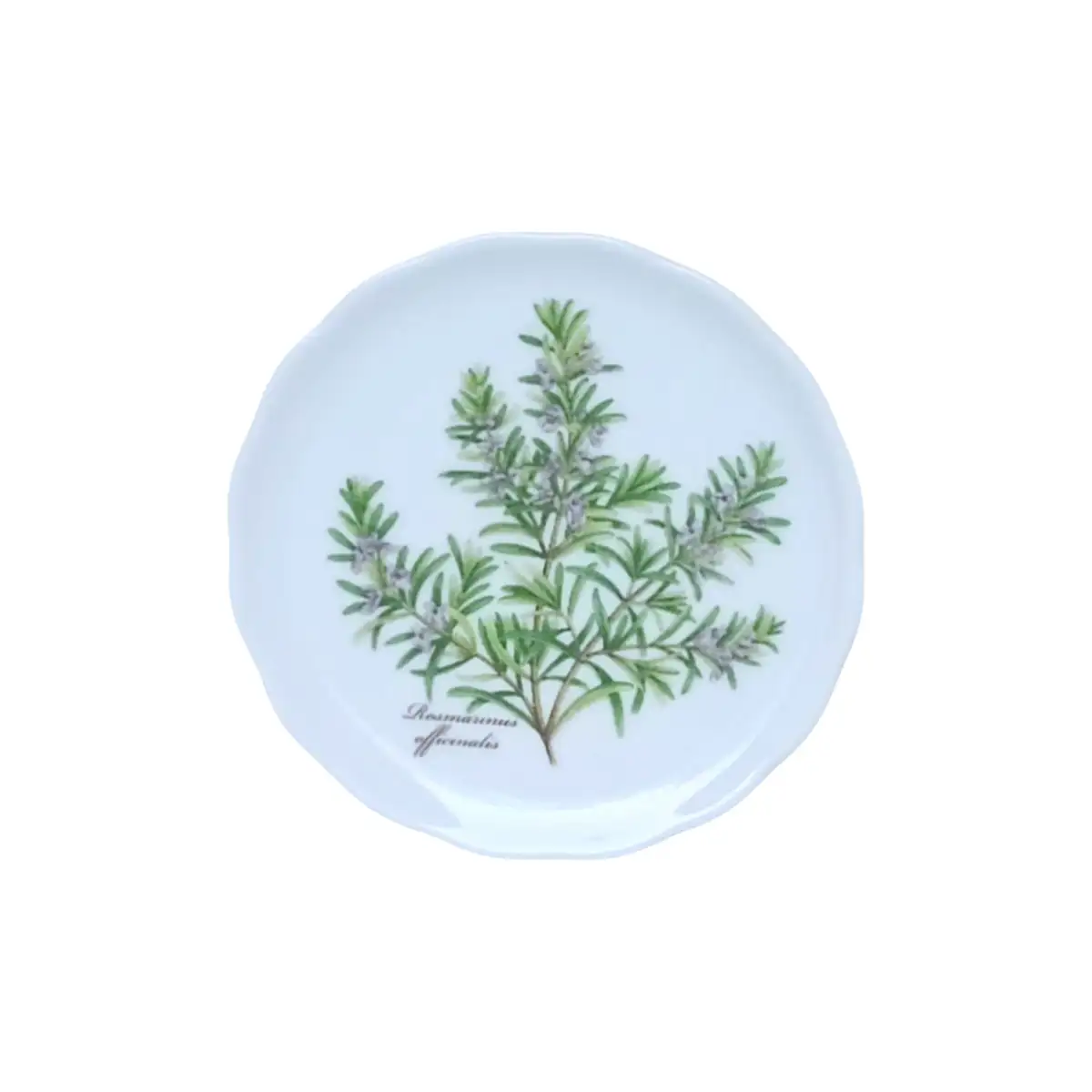 10118 Podložka pod sklenici - Rozmarýn