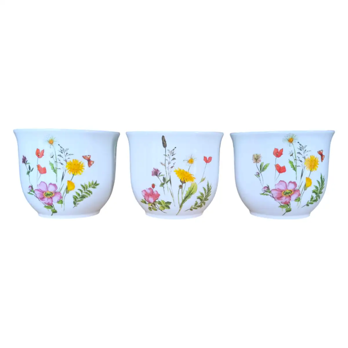 IMG20250325125326 (3)