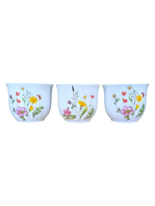 IMG20250325125326 (3)